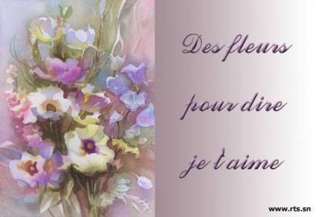 des fleurs pr te dire j t'aime ma joli blande